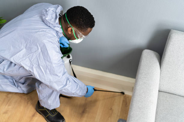 Best Termite Inspection and Treatment  in Pine Brook, NJ